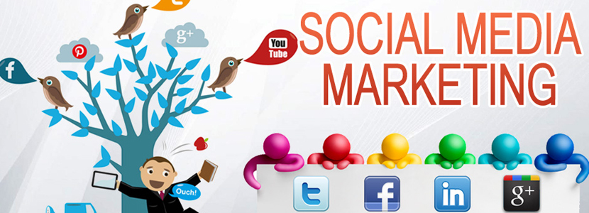 Social media services